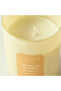 Scent.d Drywoods and Amber Scented Jar Candle - 8 oz - 3