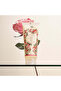 Shower gel - Regenerating Rose 200ml - 2