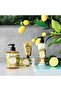 Body lotion - Provence Energizing 250ml - 3