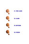 Tinted Moisturizing Serum - 04 Dark - 5