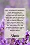 Seasilis Serenity Elixir Masaj Yağı - 6