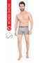 Boxer - 4