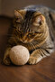 Pati Natural Quiet Cat Play Ball Cat Toy Wool Ball - Promotes Movement and Development - 3