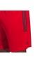 Shorts - 3