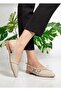 Pably Patent Leather (2 cm Heels) Pointed Toe Shoes-D3