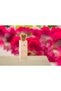عطر الشعر روز 01 50 مل - 5