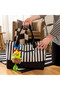 Cal-a-Puller Pull & Shake Toy, 0 - 36 months - 5