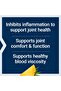 Specially-Coated Bromelain – Enzyme for Joint Health – Gluten-Free, Non-GMO, Vege - 7
