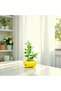 |   Mini Botany |   Jelibon Succulent – Sedum Pachyphyllum Plant – DIY 3D Puzzle Mini Potted Block Set