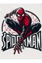 Boys Spiderman Printed T-Shirt - Shorts Set - 7