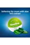 Lip Cream Lip Therapy Aloe Vera 20 gr - 3