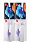Shower Head Holder And Loofah Rack - 3