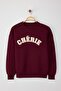 Claret Red Thick Fleece Inside Oversize/Comfortable Cut Slogan Embroidered Knitted Sweatshirt Twoaw25Sw00030 - 6
