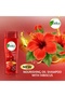Naturals Nourishing Oil Shampoo Strengthen & Nourish Enriched with Hibiscus 425 ml - 2