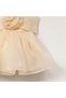 Dress Princess Girl Child |   1-9 Years |   Color Options |   Ribbon & Rose Detail |   Karolin - Satin - 6