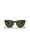 RB 2185 901 31 55 نظارات شمسية للجنسين - 6