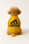 Yellow Sweatshirt and Dress Cat & Dog Outfit