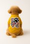 Yellow Sweatshirt & Colorful Love Cat and Dog Outfit & Dress
