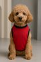 New Season Dog And Cat Outfit - Red You Drive Me Crazy - 2