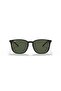 RAY BAN Unisex SQUARE Sun- RB 4387 - lense size:56mm - BLACK - 5