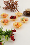 Nora Gold Set of 6 Macaron Holders Turkish Delight Holders Snack Plates Coffee Side Serving Plates Decorative Special Serrated - 6