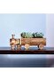 FFD Wooden Planter Box Train Shape - 4