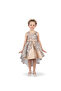 Amy Leopard Brown Party Dress