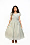 Veolia Olive Dark Lace Dress