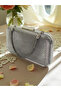 Anthracite Gray Platinum Color Laser Snake Pattern Evening Dress Bag Night Wedding Wedding Engagement Graduation Portfolio - 4