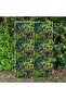 FFD Artificial Hedge Grass Wall Panel 50cm x 50cm – UV Resistant & Flame Retardant Faux Greenery - 7