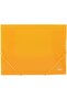 E39504 3 Flap Folder, A4 Size, Assorted - 5