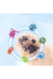Small Size Dog Foot Washing Apparatus Paw Cleaning Apparatus - 7