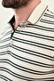 Striped Slim Fit Polo Neck Men's T-Shirt Ecru-Green - 36852.25Y - 2