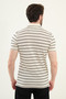 Striped Slim Fit Polo Neck Men's T-Shirt Ecru-Grey - 36852.25Y - 3