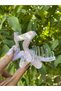 Large Mother of Pearl Latch Buckle in Star Form - 6