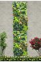 FFD Artificial Grass Wall Panel 100 x 50 cm - UV Resistant Faux Greenery Hedge Panels - 2