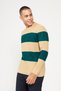 Men's Milky Brown-Green Anti-Pilling Anti-Pilling Standard Fit Crew Neck Knitwear Sweater - 3
