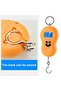 Φορητή ηλεκτρονική ζυγαριά - 2