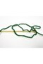 8X50Gr. Lana Morbida Acrylic, Wool Dark Green Winter, Wool, Acrylic - 3