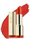 Color Statement Matte Lipstick 53 Empress – Cruelty-free, Bold, Nourishing 5g Lipstick