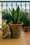 Ciana Small Size Wicker Plant Basket Decor Flower Pot - Decorative Covered Basket Organizer