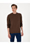 Brown 2 Thread Regular Fit Crew Neck Basic Sweatshirt 50314054-Vr029 - 3