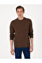 Brown 2 Thread Regular Fit Crew Neck Basic Sweatshirt 50314054-Vr029