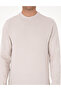 Stone Regular Fit Sweatshirt 50311649-Vr049 - 6