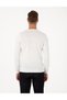 Ecru Slim Fit Crew Neck Knitwear Sweater 50315717-Vr019 - 5
