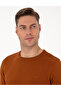 Brown Slim Fit Crew Neck Basic Knitwear Sweater 50315509-Vr040 - 2