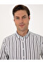 Black Regular Fit Striped Long Sleeve Shirt 50312269-Vr046 - 2