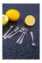 Set of 6 Stainless Steel Lemon and Fondue Forks, Stylish and Durable 18/10