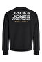 Jcovibrant Sweat Crew Neck Styd Aw24 - 3
