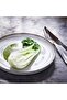 GLADELIG Side Plates, Grey, 20 cm, Set of 4 - 7
